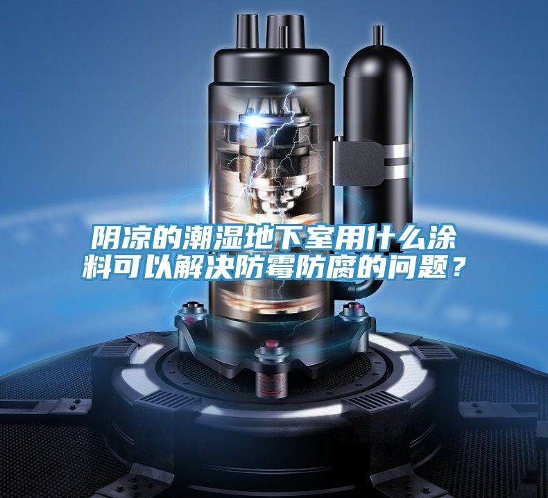 阴凉的潮湿地下室用什么涂料可以解决防霉防腐的问题？