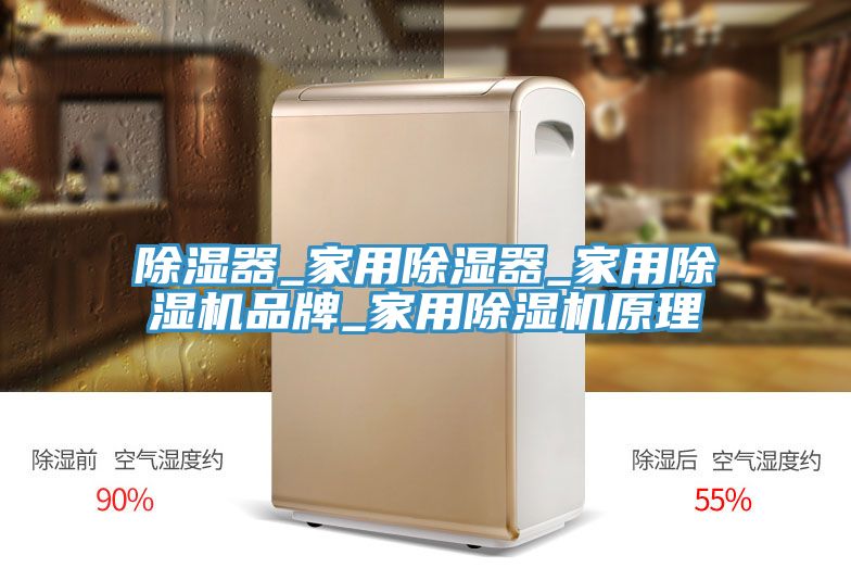 除湿器_家用除湿器_家用除湿机品牌_家用除湿机原理