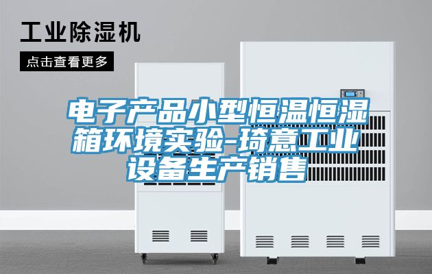 电子产品小型恒温恒湿箱环境实验-琦意工业设备生产销售