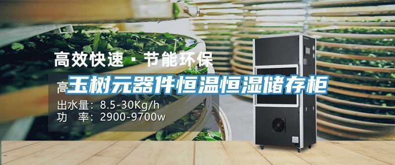 玉树元器件恒温恒湿储存柜