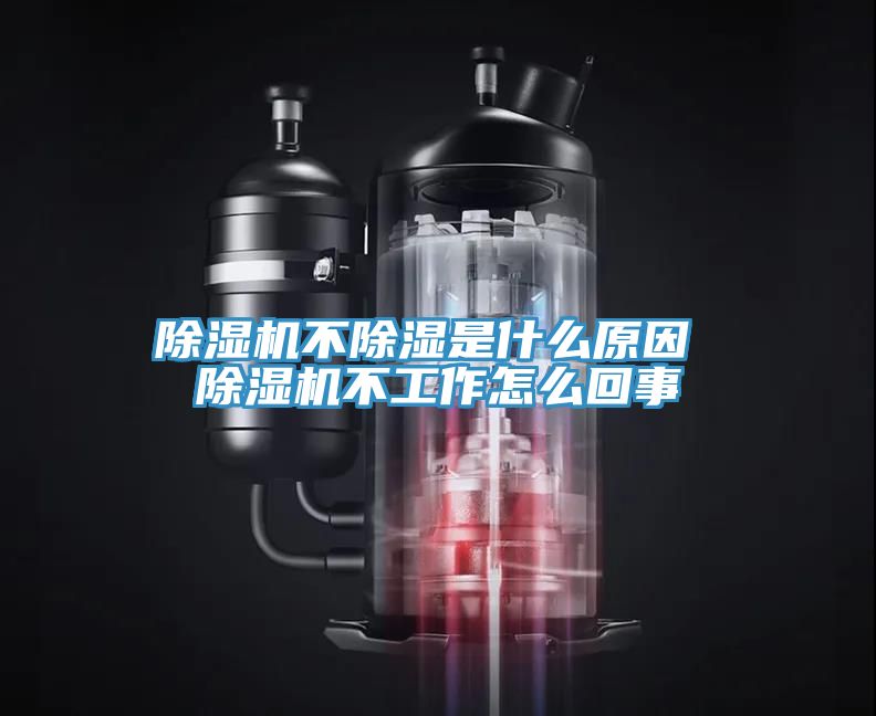 除湿机不除湿是什么原因 除湿机不工作怎么回事