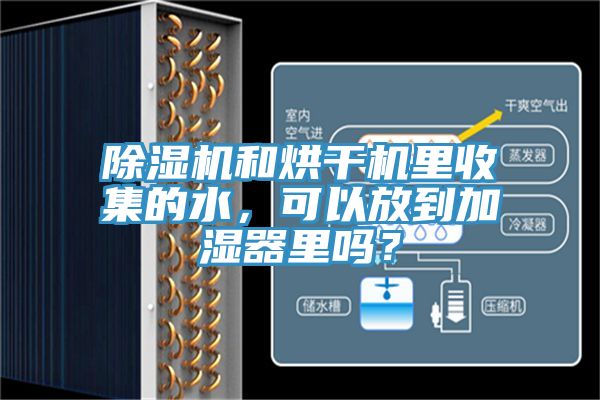 除湿机和烘干机里收集的水，可以放到加湿器里吗？