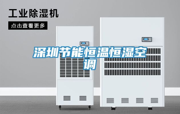 深圳节能恒温恒湿空调