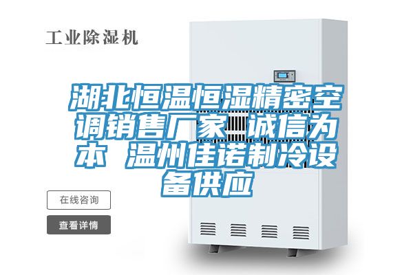 湖北恒温恒湿精密空调销售厂家 诚信为本 温州佳诺制冷设备供应