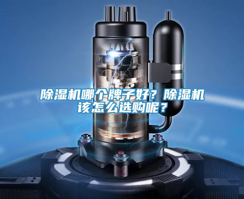 除湿机哪个牌子好？除湿机该怎么选购呢？