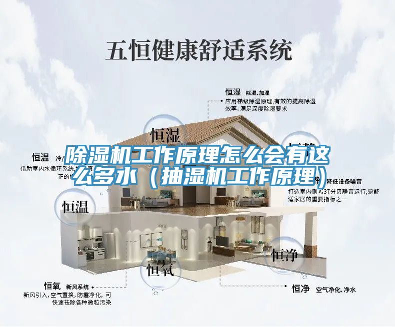 除湿机工作原理怎么会有这么多水（抽湿机工作原理）