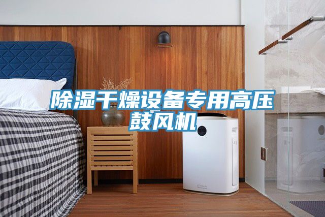 除湿干燥设备专用高压鼓风机