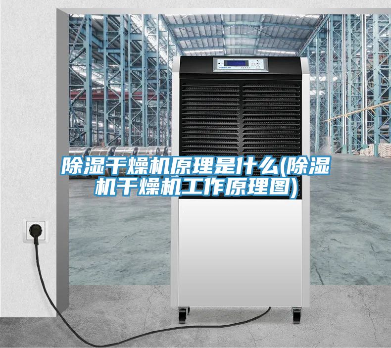 除湿干燥机原理是什么(除湿机干燥机工作原理图)
