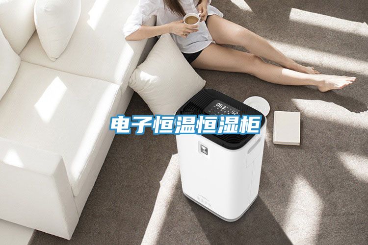 电子恒温恒湿柜