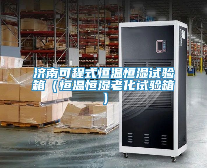 济南可程式恒温恒湿试验箱（恒温恒湿老化试验箱）