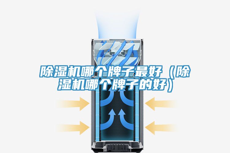 除湿机哪个牌子最好（除湿机哪个牌子的好）