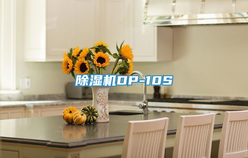 除湿机DP-10S