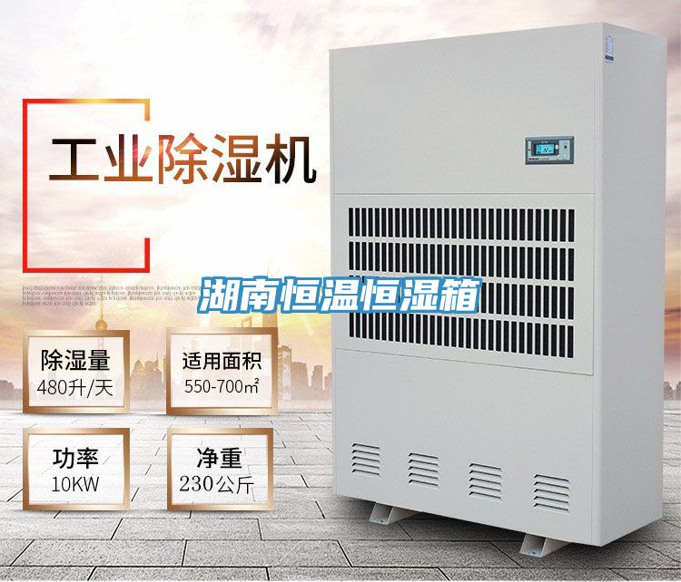 湖南恒温恒湿箱