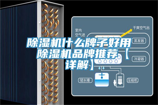除湿机什么牌子好用 除湿机品牌推荐【详解】
