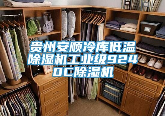 贵州安顺冷库低温除湿机工业级9240C除湿机