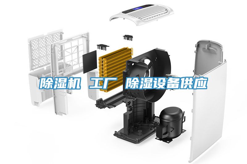 除湿机 工厂 除湿设备供应