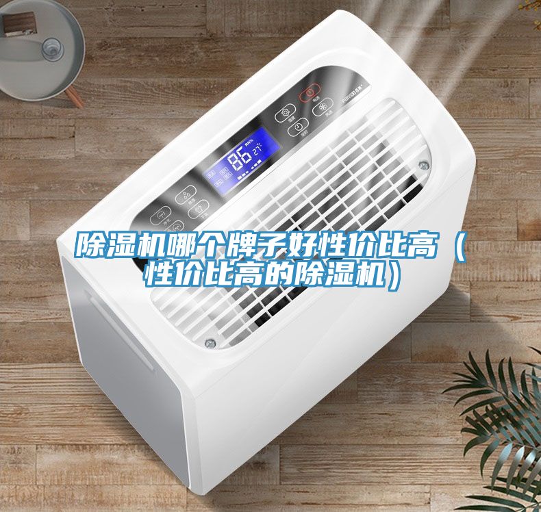 除湿机哪个牌子好性价比高（性价比高的除湿机）
