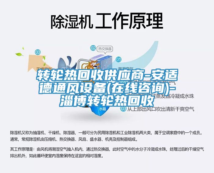 转轮热回收供应商-安适德通风设备(在线咨询)-淄博转轮热回收