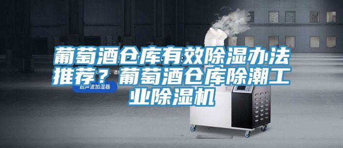 葡萄酒仓库有效除湿办法推荐？葡萄酒仓库除潮工业除湿机