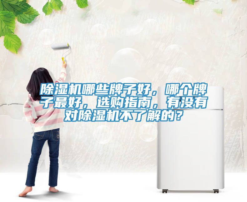 除湿机哪些牌子好，哪个牌子最好，选购指南，有没有对除湿机不了解的？