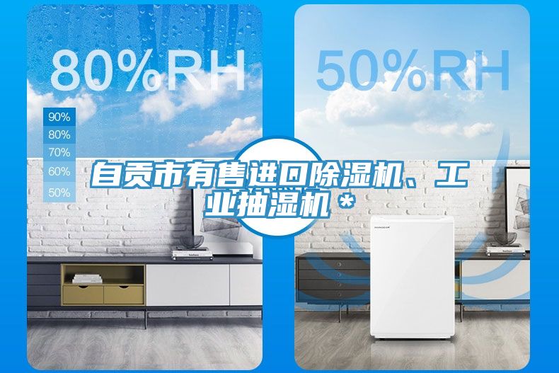 自贡市有售进口除湿机、工业抽湿机＊