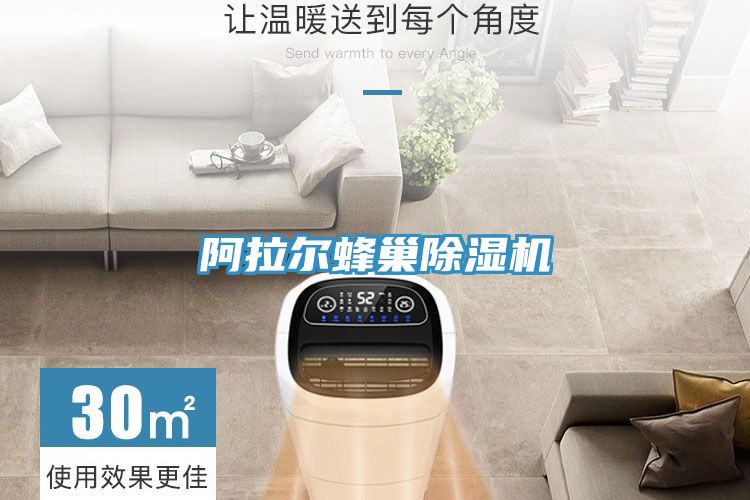 阿拉尔蜂巢除湿机