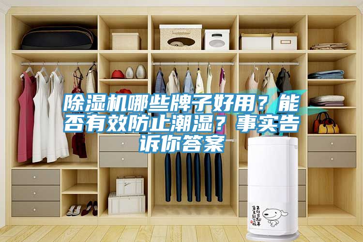除湿机哪些牌子好用?能否有效防止潮湿?事实告诉你答案
