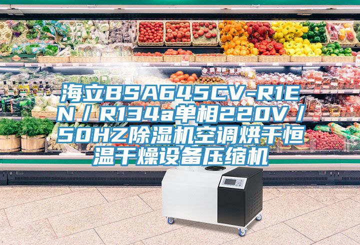 海立BSA645CV-R1EN／R134a单相220V／50HZ除湿机空调烘干恒温干燥设备压缩机