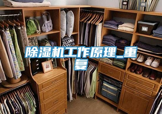 除湿机工作原理_重复