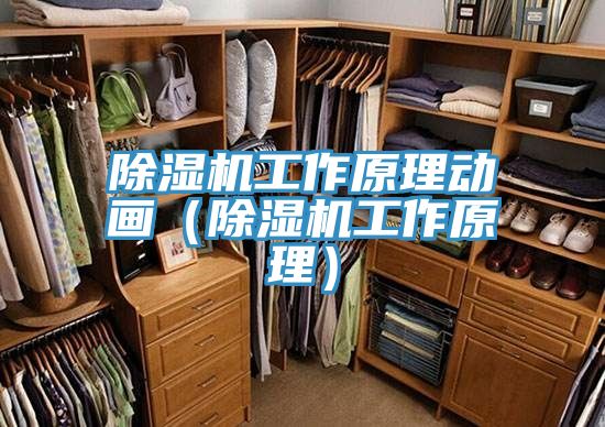 除湿机工作原理动画（除湿机工作原理）