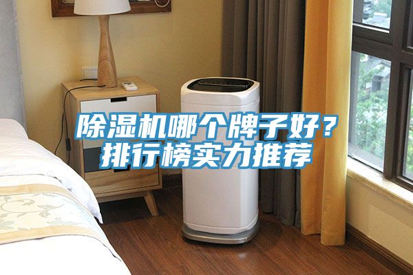 除湿机哪个牌子好？排行榜实力推荐
