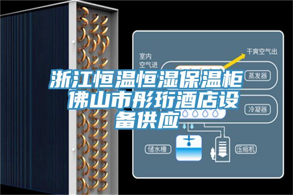 浙江恒温恒湿保温柜 佛山市彤珩酒店设备供应