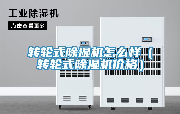 转轮式除湿机怎么样（转轮式除湿机价格）
