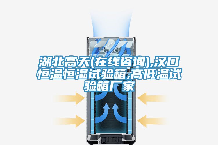 湖北高天(在线咨询),汉口恒温恒湿试验箱,高低温试验箱厂家