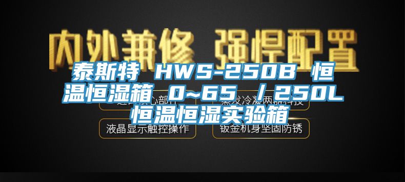 泰斯特 HWS-250B 恒温恒湿箱 0~65℃／250L 恒温恒湿实验箱