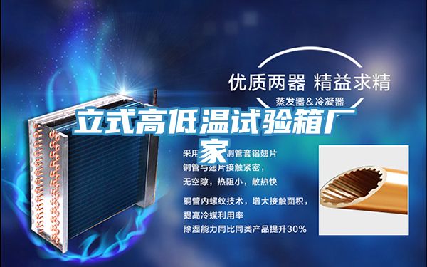立式高低温试验箱厂家