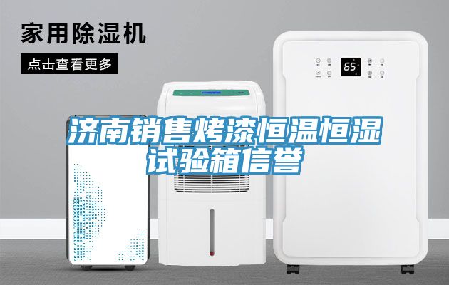济南销售烤漆恒温恒湿试验箱信誉