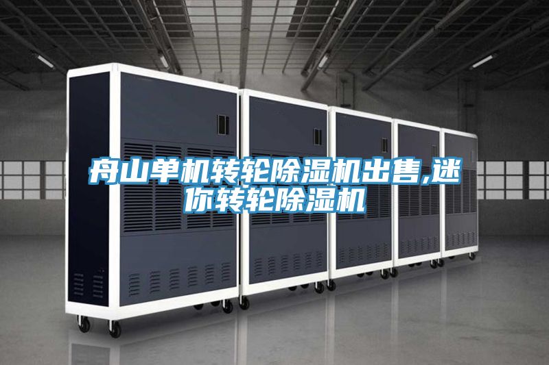 舟山单机转轮除湿机出售,迷你转轮除湿机
