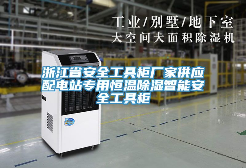 浙江省安全工具柜厂家供应配电站专用恒温除湿智能安全工具柜