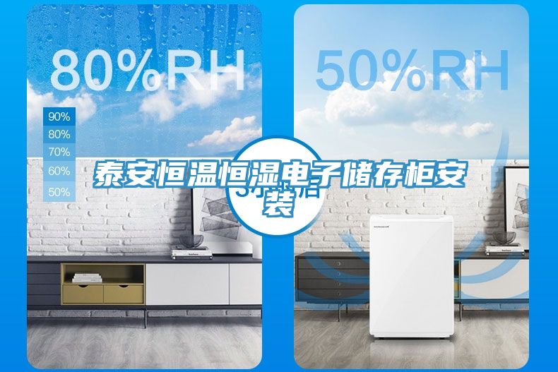 泰安恒温恒湿电子储存柜安装