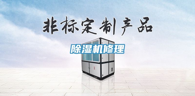 除湿机修理