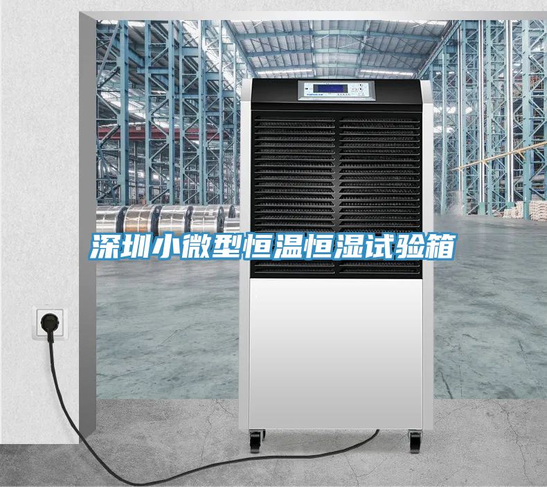 深圳小微型恒温恒湿试验箱