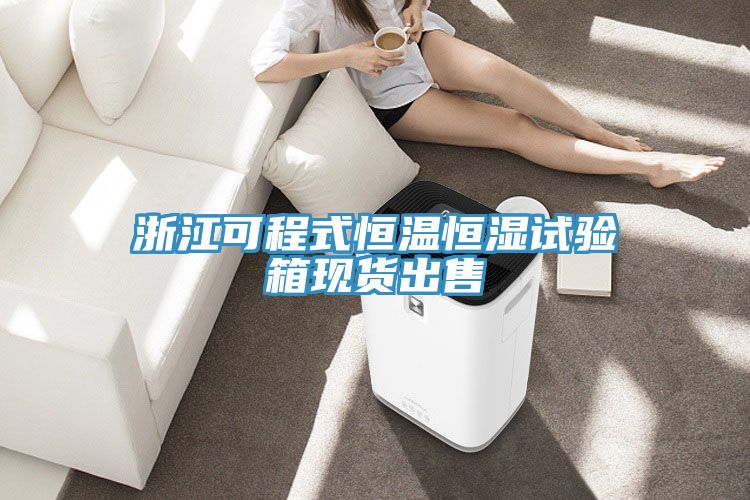 浙江可程式恒温恒湿试验箱现货出售