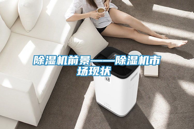 除湿机前景——除湿机市场现状