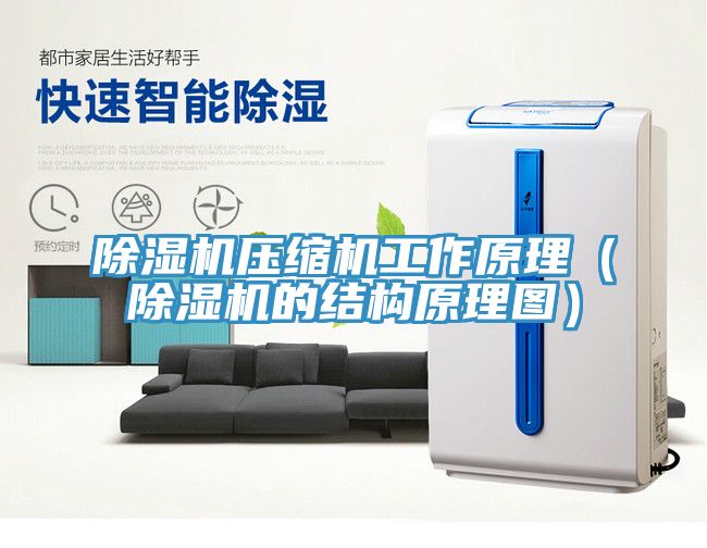 除湿机压缩机工作原理（除湿机的结构原理图）
