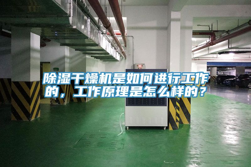 除湿干燥机是如何进行工作的，工作原理是怎么样的？