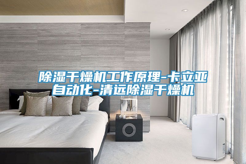 除湿干燥机工作原理-卡立亚自动化-清远除湿干燥机