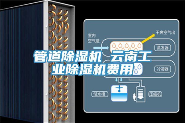 管道除湿机 云南工业除湿机费用