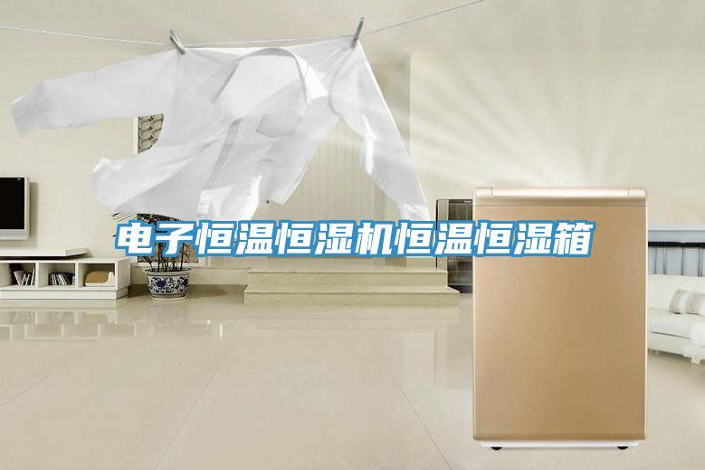 电子恒温恒湿机恒温恒湿箱