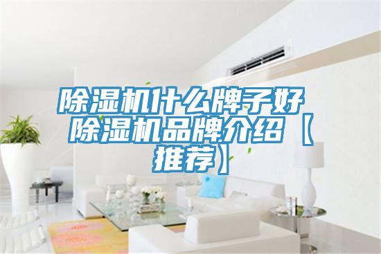除湿机什么牌子好 除湿机品牌介绍【推荐】